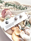 Seashell Studs, Beige and White Stud Earrings, Coastal Vacation Handmade Clay Jewelry Gift